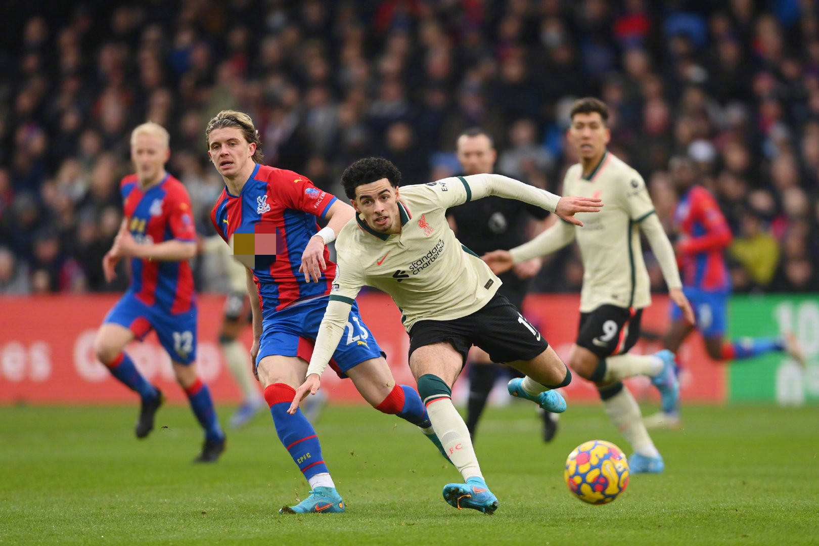 季才最终将 季才最终将